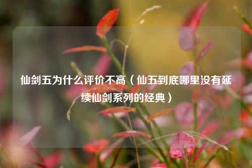 仙剑五为什么评价不高（仙五到底哪里没有延续仙剑系列的经典）