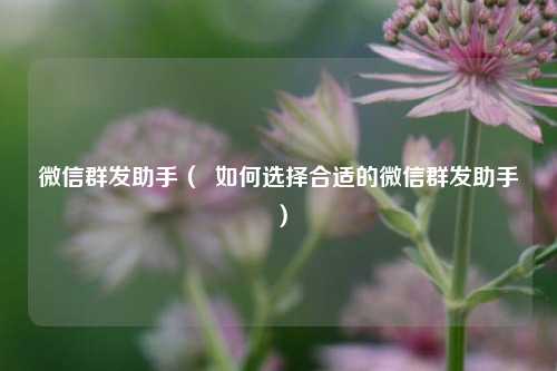 微信群发助手（  如何选择合适的微信群发助手）