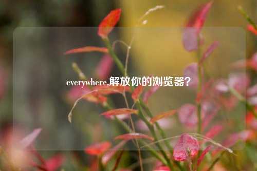 everywhere,解放你的浏览器？