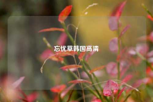 忘忧草韩国高清
