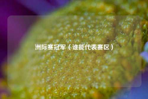 洲际赛冠军（谁能代表赛区）