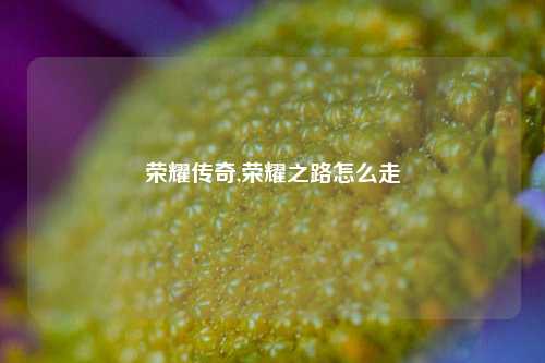 荣耀传奇,荣耀之路怎么走