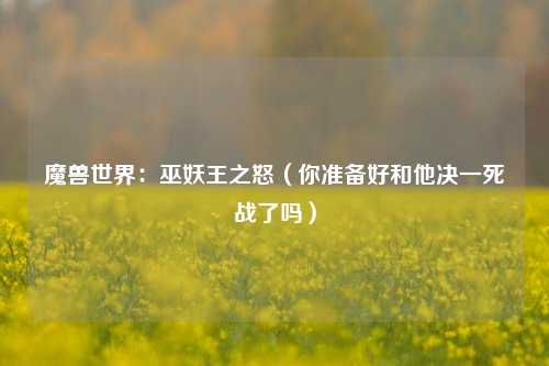 魔兽世界：巫妖王之怒（你准备好和他决一死战了吗）