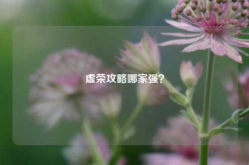 虚荣攻略哪家强？