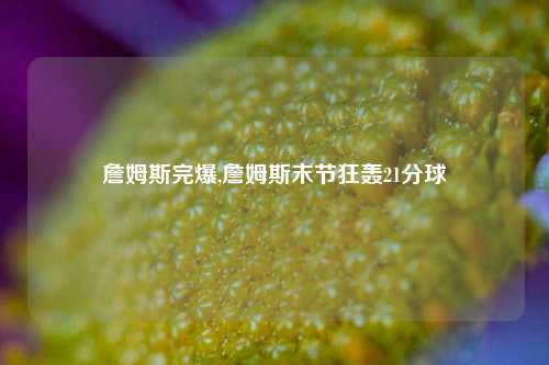 詹姆斯完爆,詹姆斯末节狂轰21分球