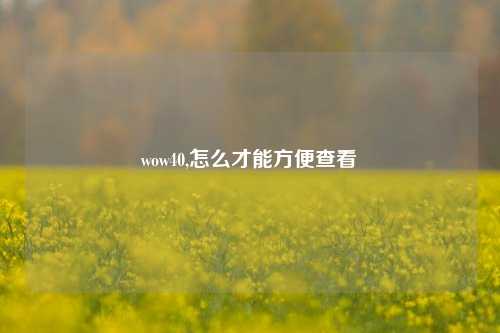 wow40,怎么才能方便查看