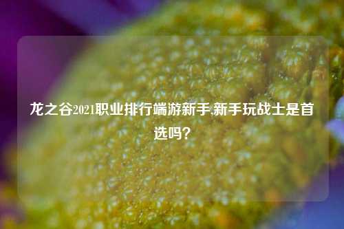 龙之谷2021职业排行端游新手,新手玩战士是首选吗？