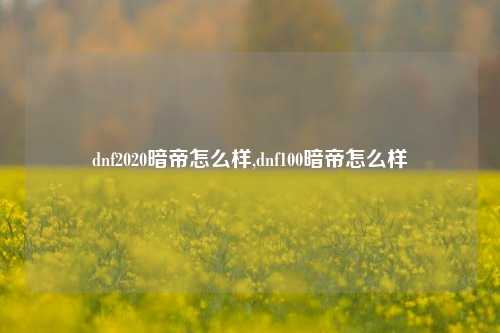 dnf2020暗帝怎么样,dnf100暗帝怎么样