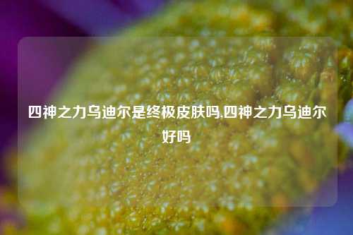 四神之力乌迪尔是终极皮肤吗,四神之力乌迪尔好吗