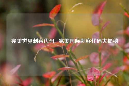 完美世界刺客代码,  完美国际刺客代码大揭秘