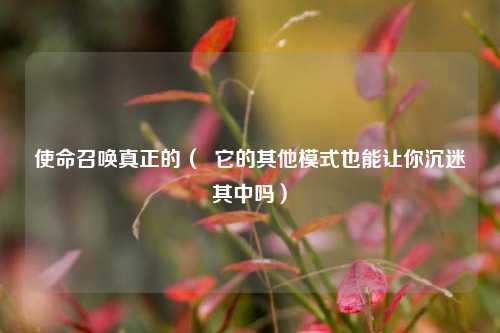 使命召唤真正的（  它的其他模式也能让你沉迷其中吗）