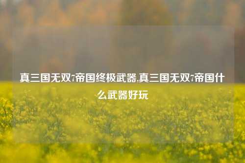 真三国无双7帝国终极武器,真三国无双7帝国什么武器好玩