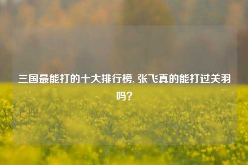 三国最能打的十大排行榜, 张飞真的能打过关羽吗？