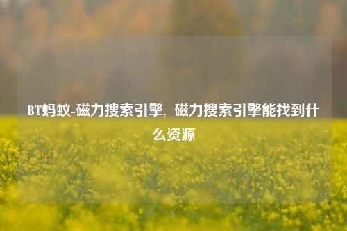 BT蚂蚁-磁力搜索引擎,  磁力搜索引擎能找到什么资源