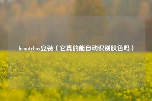 beautybox安装（它真的能自动识别肤色吗）