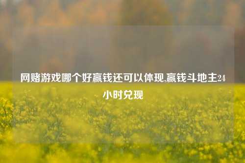 网赌游戏哪个好赢钱还可以体现,赢钱斗地主24小时兑现
