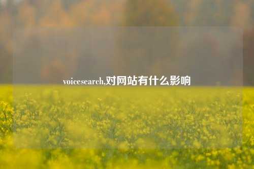 voicesearch,对网站有什么影响
