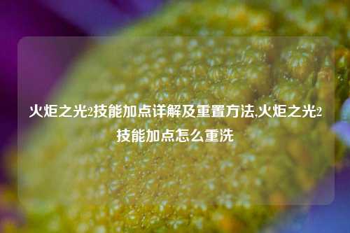 火炬之光2技能加点详解及重置方法,火炬之光2技能加点怎么重洗