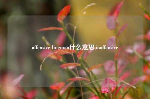 offensive lineman什么意思,inoffensive