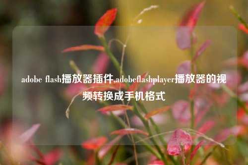 adobe flash播放器插件,adobeflashplayer播放器的视频转换成手机格式