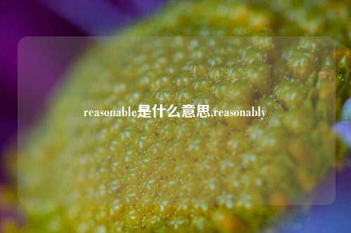 reasonable是什么意思,reasonably
