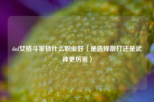 dnf女格斗家转什么职业好（是选择散打还是武神更厉害）