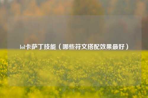 lol卡萨丁技能（哪些符文搭配效果最好）