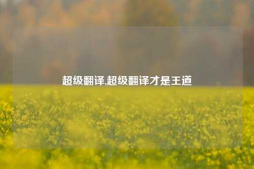超级翻译,超级翻译才是王道