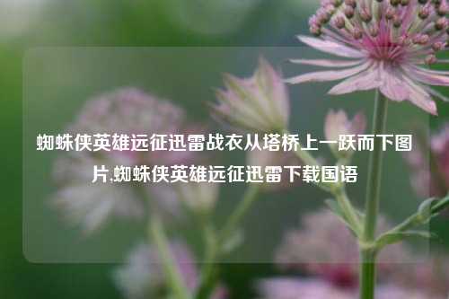 蜘蛛侠英雄远征迅雷战衣从塔桥上一跃而下图片,蜘蛛侠英雄远征迅雷下载国语