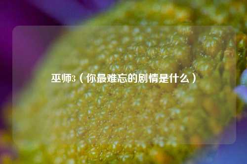 巫师3（你最难忘的剧情是什么）