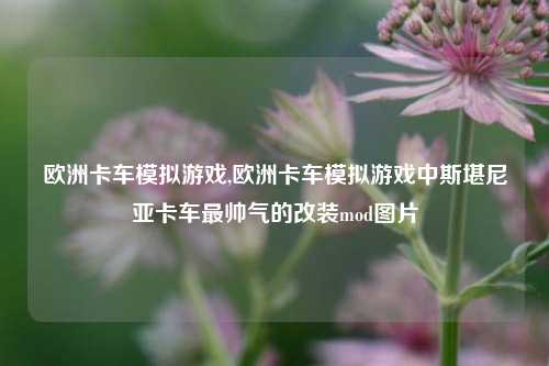 欧洲卡车模拟游戏,欧洲卡车模拟游戏中斯堪尼亚卡车最帅气的改装mod图片