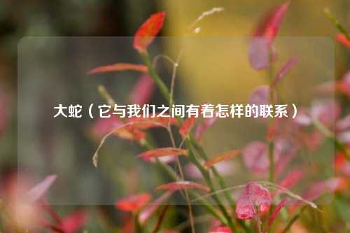 大蛇（它与我们之间有着怎样的联系）