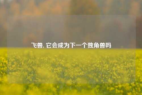 飞兽, 它会成为下一个独角兽吗