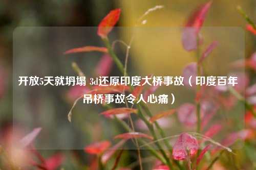 开放5天就坍塌 3d还原印度大桥事故（印度百年吊桥事故令人心痛）