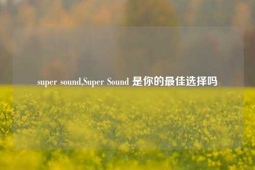 super sound,Super Sound 是你的最佳选择吗