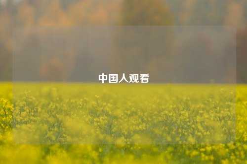 中国人观看