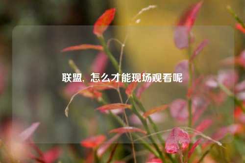 联盟,  怎么才能现场观看呢