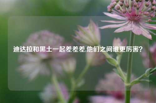 迪达拉和黑土一起差差差,他们之间谁更厉害？
