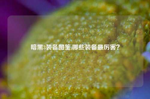 暗黑3装备图鉴,哪些装备最厉害？