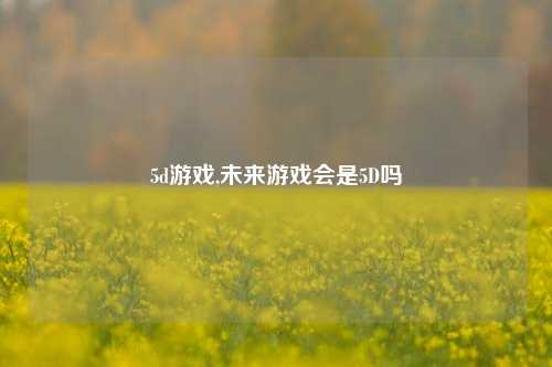 5d游戏,未来游戏会是5D吗