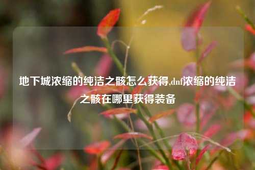 地下城浓缩的纯洁之骸怎么获得,dnf浓缩的纯洁之骸在哪里获得装备