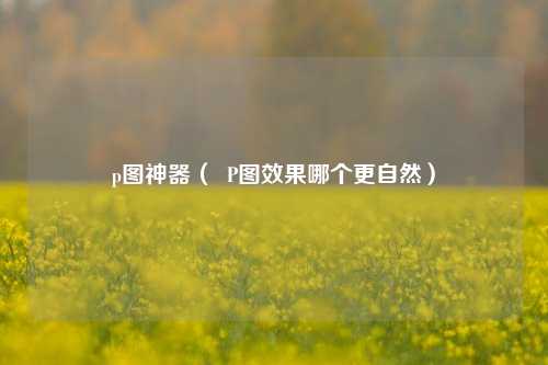 p图神器（  P图效果哪个更自然）