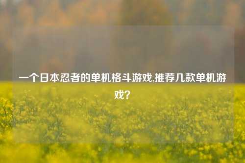一个日本忍者的单机格斗游戏,推荐几款单机游戏？
