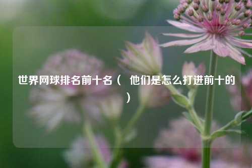 世界网球排名前十名（  他们是怎么打进前十的）