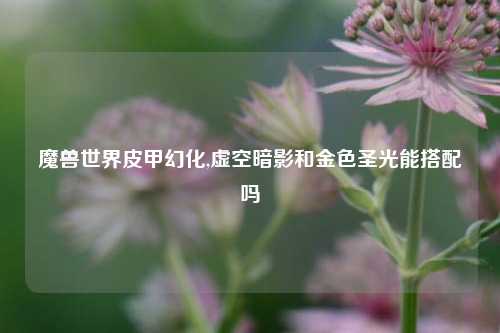 魔兽世界皮甲幻化,虚空暗影和金色圣光能搭配吗