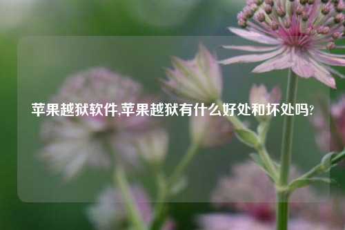 苹果越狱软件,苹果越狱有什么好处和坏处吗?
