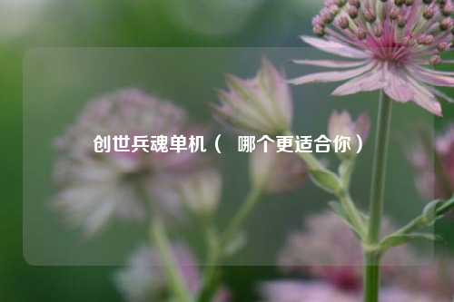 创世兵魂单机（  哪个更适合你）