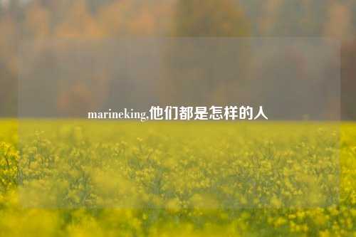 marineking,他们都是怎样的人