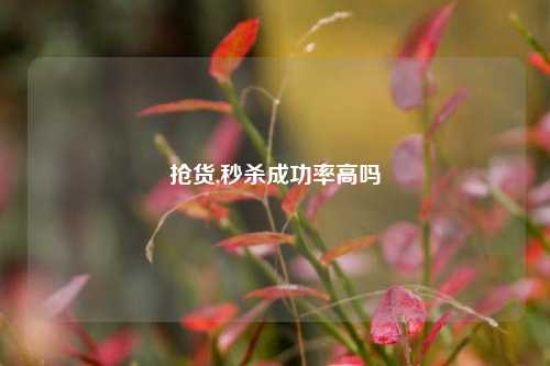 抢货,秒杀成功率高吗