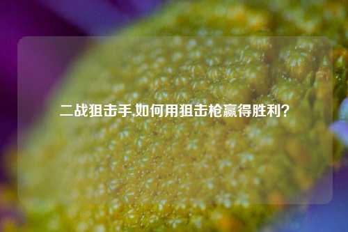 二战狙击手,如何用狙击枪赢得胜利？